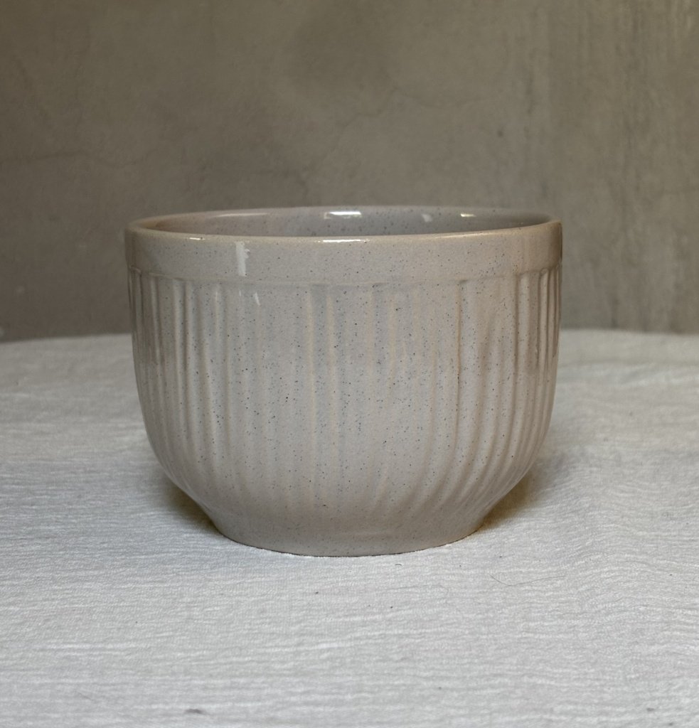 BOWL MEDIANO RAYADO DE CERAMICA